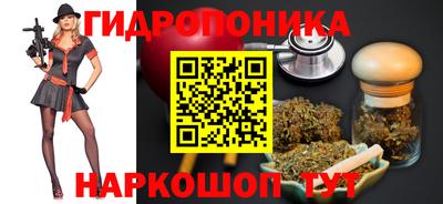 стаф Будённовск