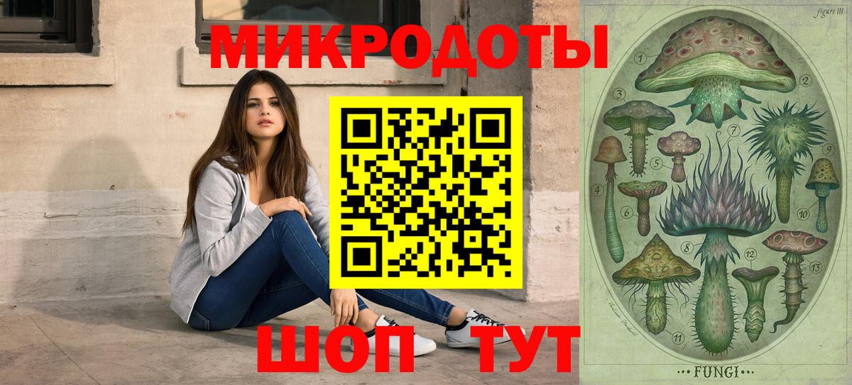 Псилоцибиновые грибы GOLDEN TEACHER  Вход с VPN  Мичуринск 